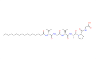 Palmitoyl Hexapeptid/Lipopeptid